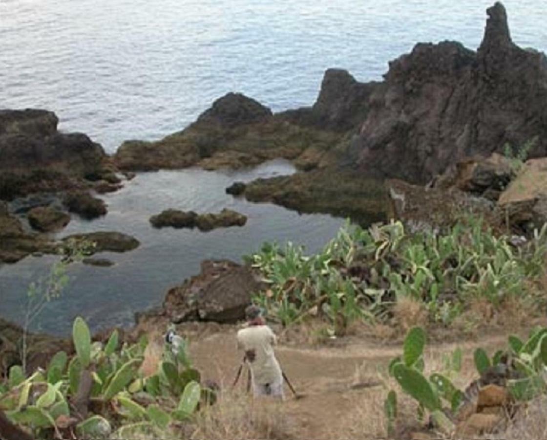 Un Balcon Sur La Mer فونشال المظهر الخارجي الصورة